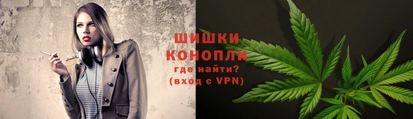 индика Зерноград