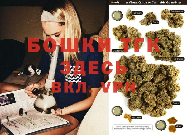 индика Зерноград