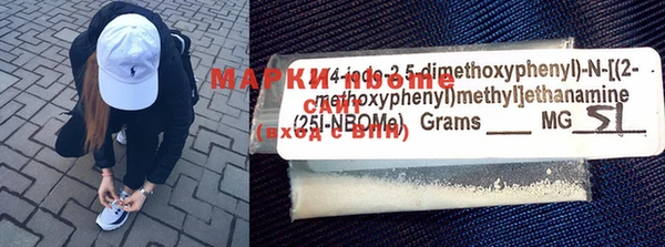 индика Зерноград
