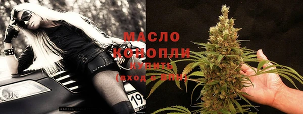 индика Зерноград