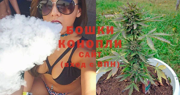 индика Зерноград