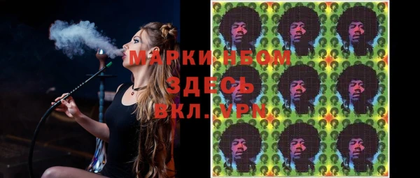 индика Зерноград