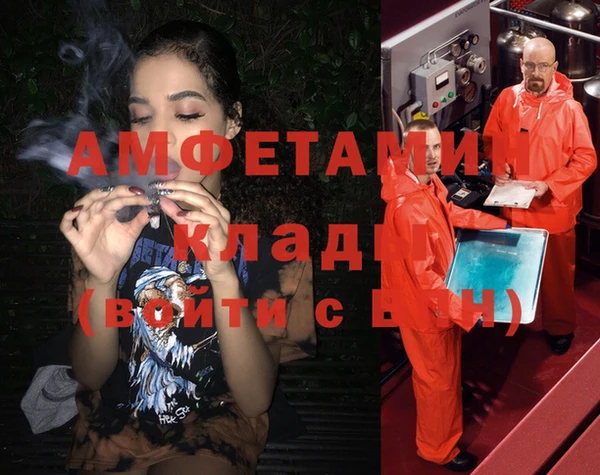 индика Зерноград