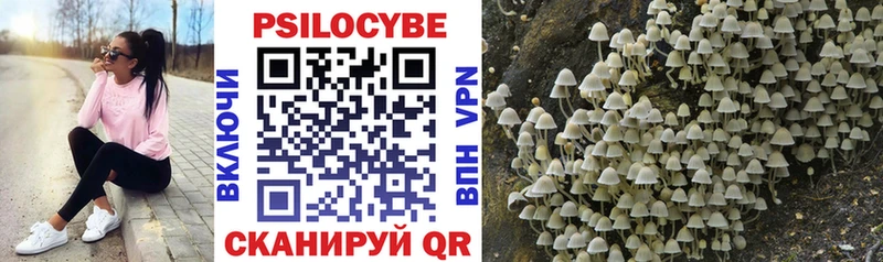 Галлюциногенные грибы GOLDEN TEACHER  Купить закладки  Тавда 